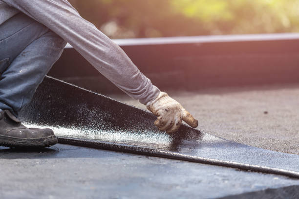 Professional Interior Drainage System technician working in Lexington, MI